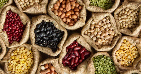 Plusieurs paniers avec des graines et de semences de différentes espèces pour représenter la formation multiplication des plantes.