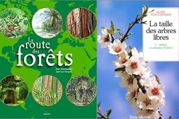 La route des forêts