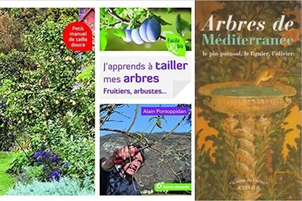 Tailler mes arbres