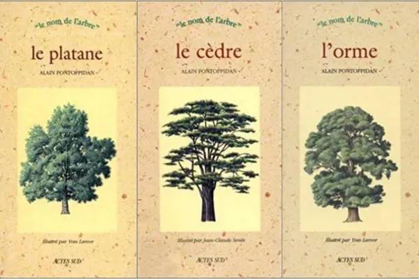 Le nom de l'arbre 2