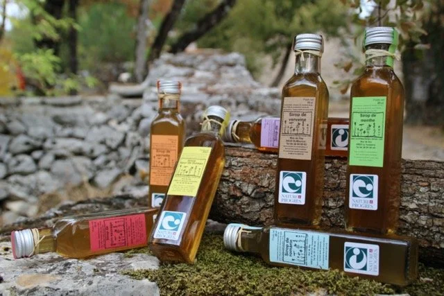 Gamme de sirop à base de plantes reproduit durant la formation transformation de plante : sirop et gelée à Permaterra.