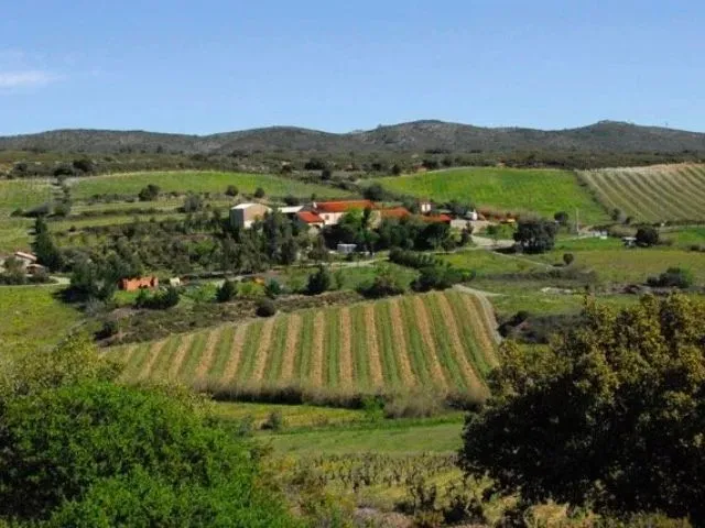 Photo du domaine lieu dit La Muntada.