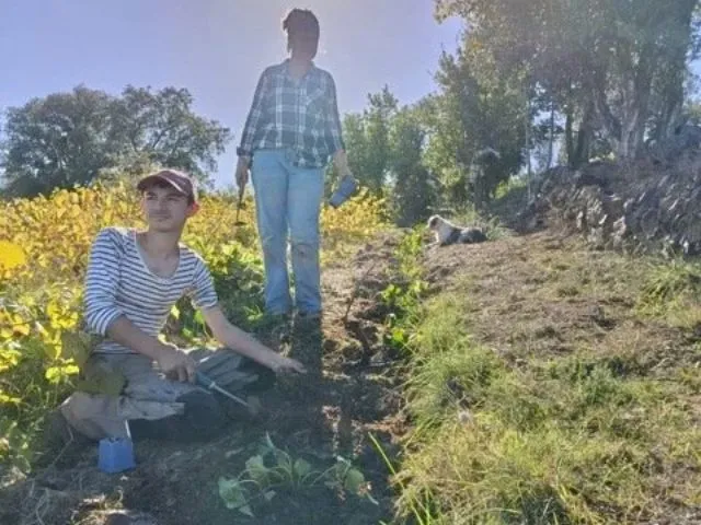 Photo de la viticulture et  du potager au domaine le temps retrouvé à Céret.