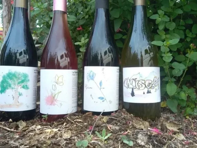 Photo de quatre bouteilles de vin du domaine le temps retrouvé à Céret.