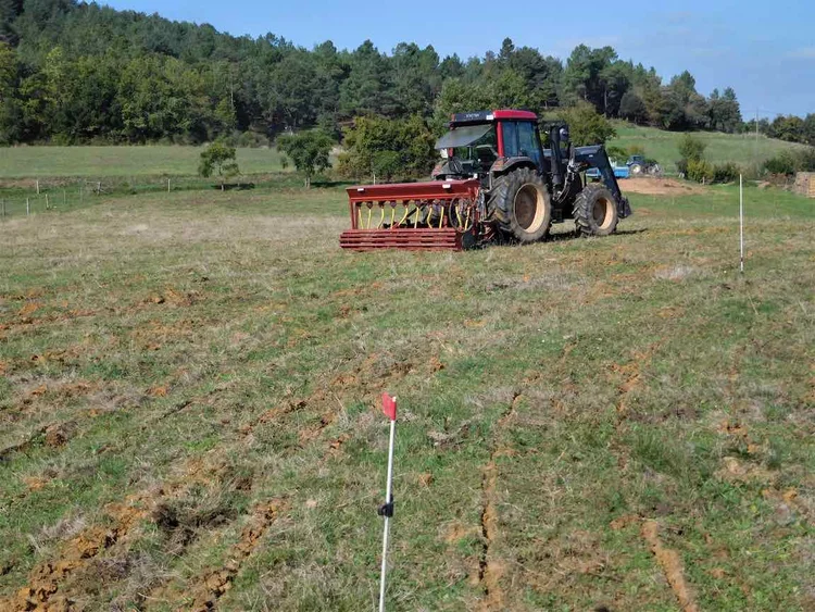 Photo d'un terrain avec un tracteur et des marqueurs d'espaces.