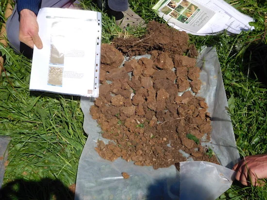 Photo d'une analyse de la terre pour comprendre comment le sol se laisse traverser par la pluie.