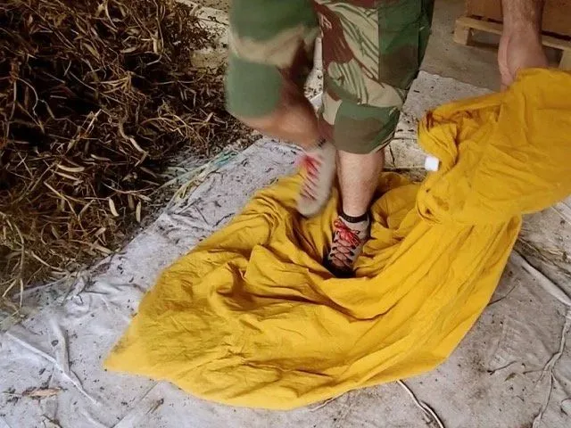 Photo d'une personne qui marche sur des semences potagères pour une production artisanale.