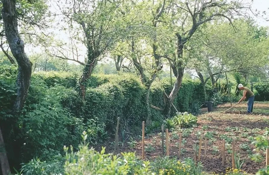 Photo de vergers agroécologiques. Il y a des haies, des arbres et des cultures.