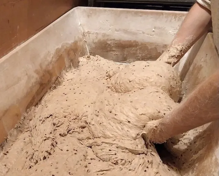 Une personne en plein pétrissage de pâte pour faire un pain au levain.