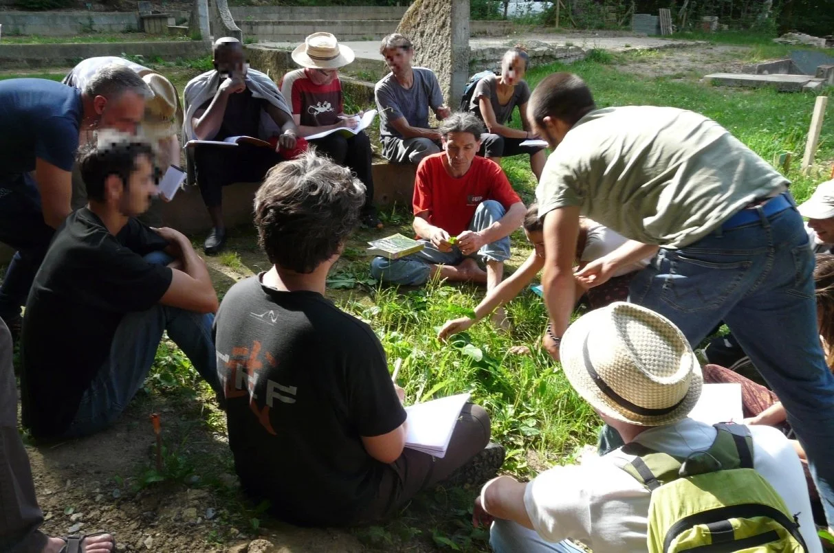 Participants assis dans l'herbe