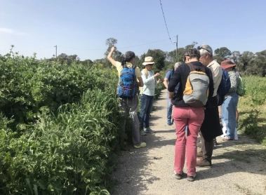 Photo des participants à la formation bases de botanique et ethnobotanique.
