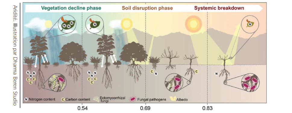 Il s'agit d'un schéma qui décrit le franchissement des seuils écosystémiques par l’aridité.