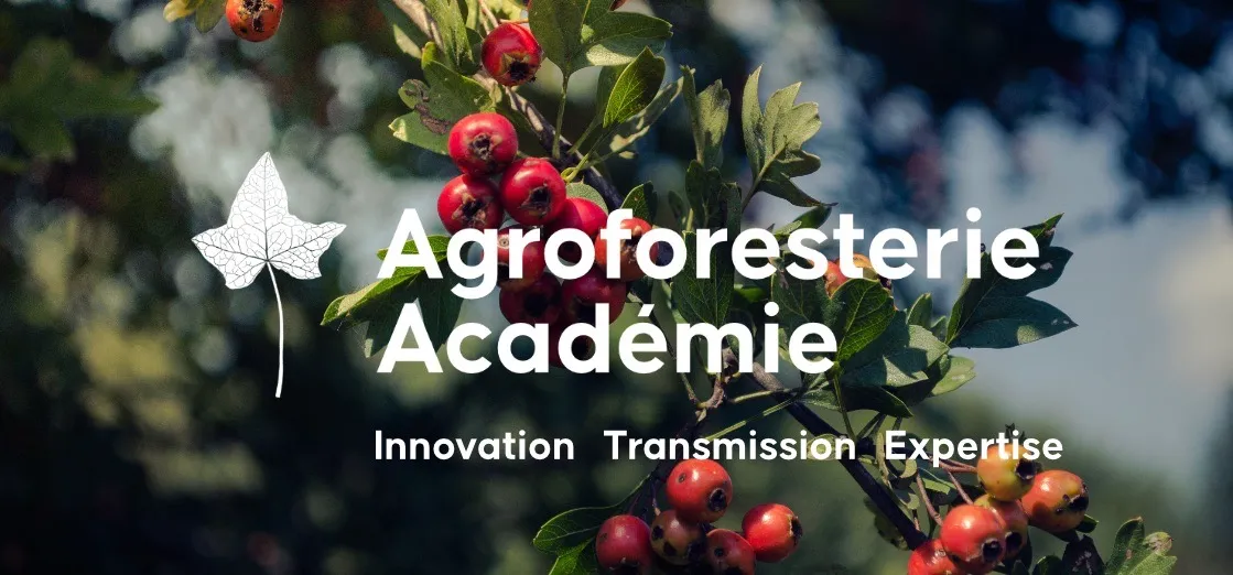 Bandeau de la formation agroforesterie académie avec les objectifs clés de celle-ci : innovation, transmission et expertise.