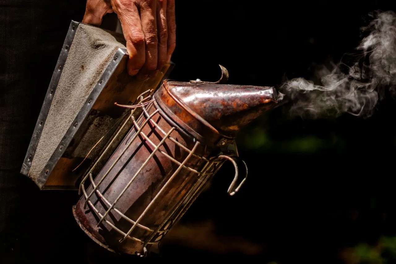 Photo d'un enfumoir pour les abeilles. Outil utilisé pour l'apiculture écologique au sein d'une ruche.