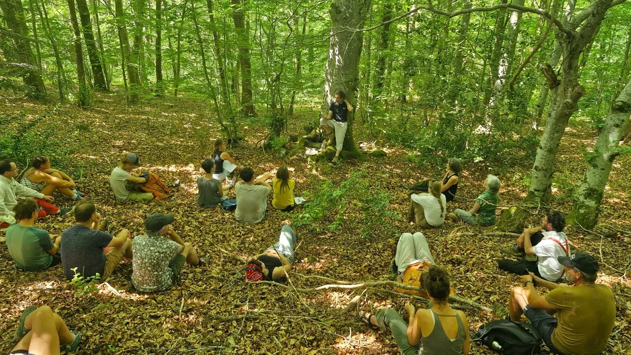 Groupe de personne dans la nature durant un atelier terrain de la formation Agroforesterie Académie.