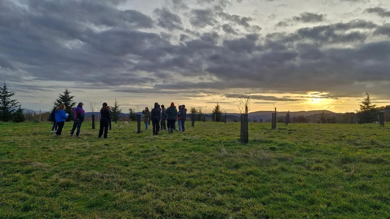Atelier terrain autour de l'agroforesterie durant la formation Agroforesterie Académie.