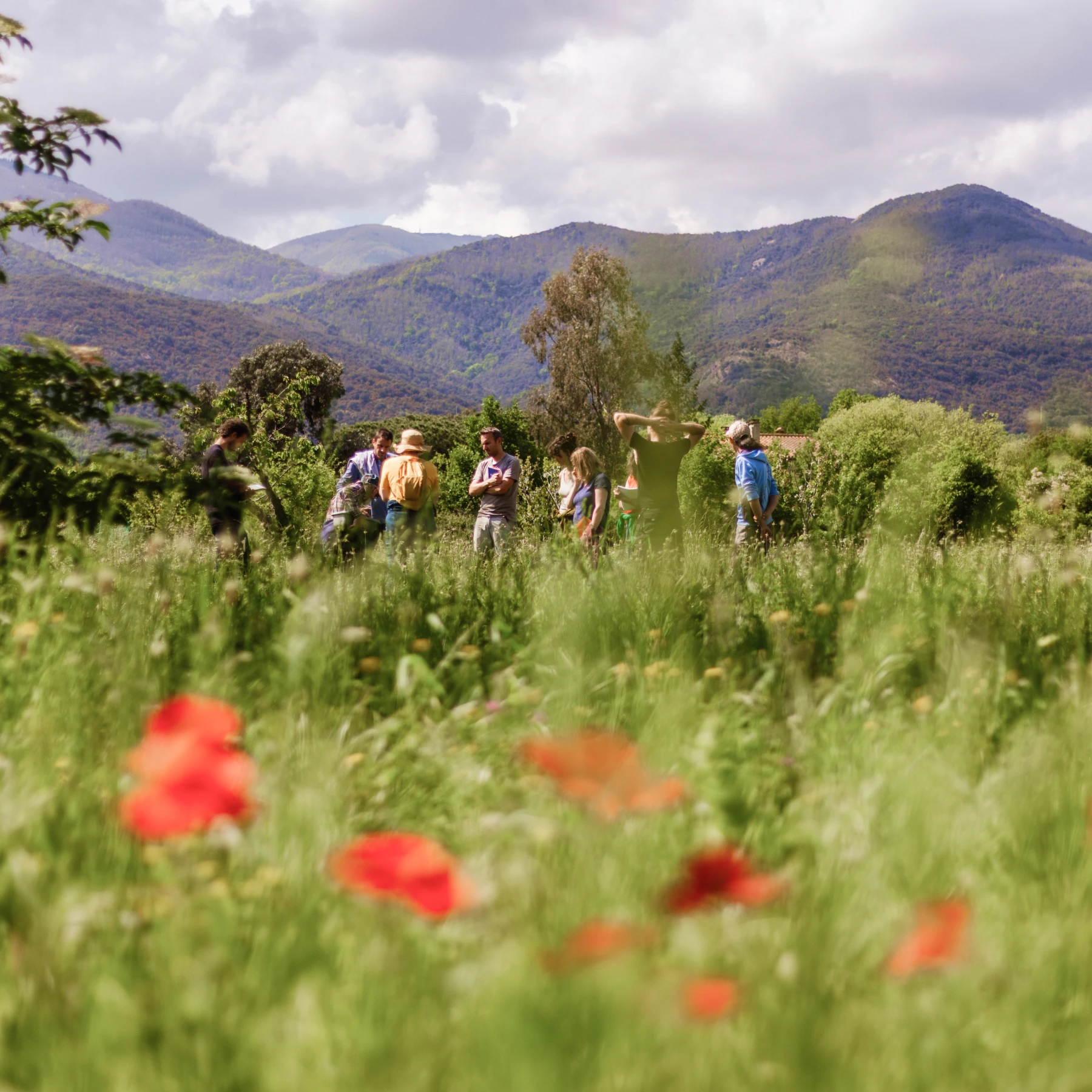 Photo d'un groupe de participant à une formation au mas Alavall, ils sont dans la nature. Photo de Myriam Boye.