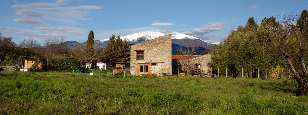Photo du Mas Alavall avec vue sur le Canigou enneigé. On y voit un poulailler mobile ainsi que de nombreux arbres. Photo de Myriam Boye.