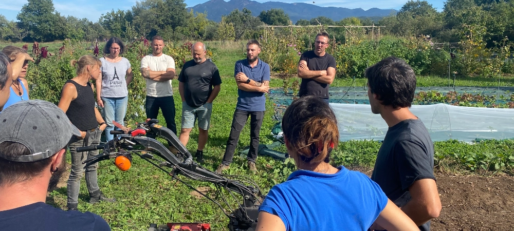 Groupe de stagiaires en observation d'outils agroécologiques sur les parcelles de Mas Alavall, Permaterra.