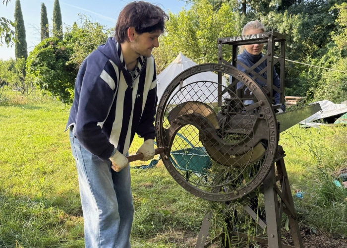 Préparation mulch avec hache paille pour le potager du Mas Alavall.