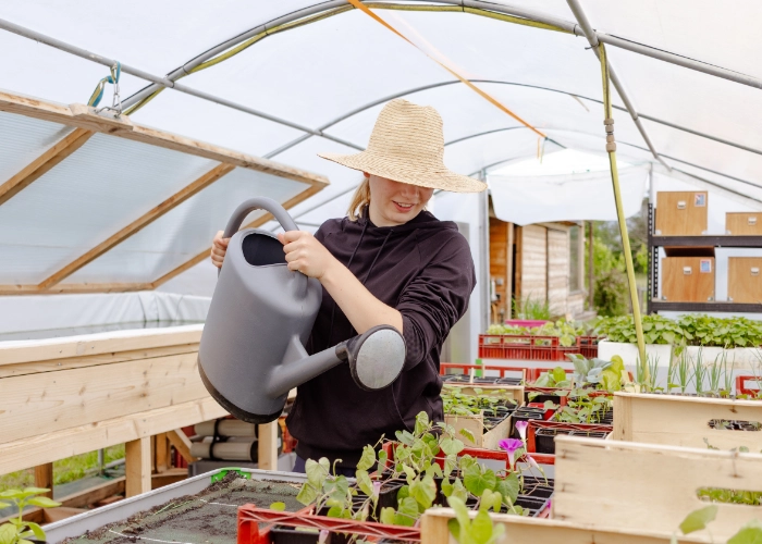 Maraîchère souriante arrosant des plateaux de semis avec un arrosoir gris dans la serre du Mas Alavall, jeunes plants de légumes et fleurs disposés sur des tables en bois.
