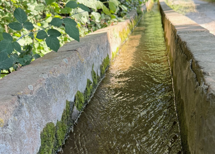 Canal d'irrigation en pierre moussu alimentant le Mas Alavall en eau par gravité, bordé de végétation, système traditionnel de gestion de l'eau à Céret.