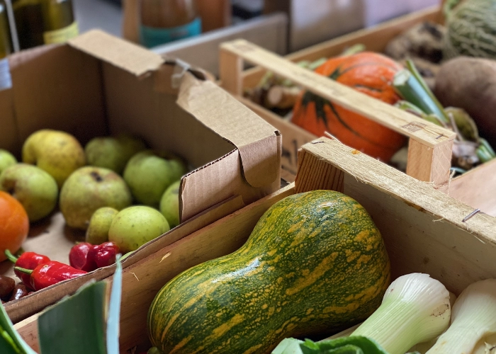 Caisses de récolte d'automne : courges, poires et légumes frais du potager du Mas Alavall.
