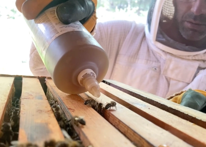 Traitement du varroa à l'acide formique sur les ruches, Permaterra.