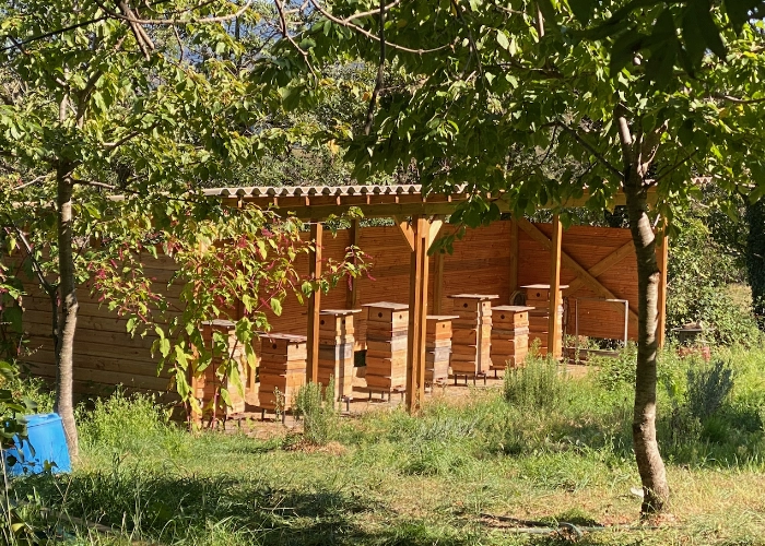 Rucher en vallée, Mas Alavall, Céret.