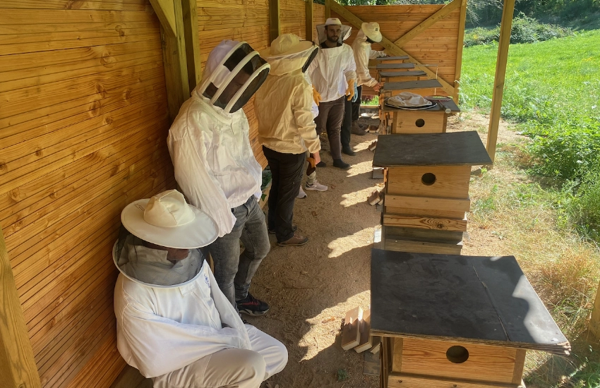 Participants à la formation initiation à l'apiculture écologique au Mas Alavall , observation des rucher.