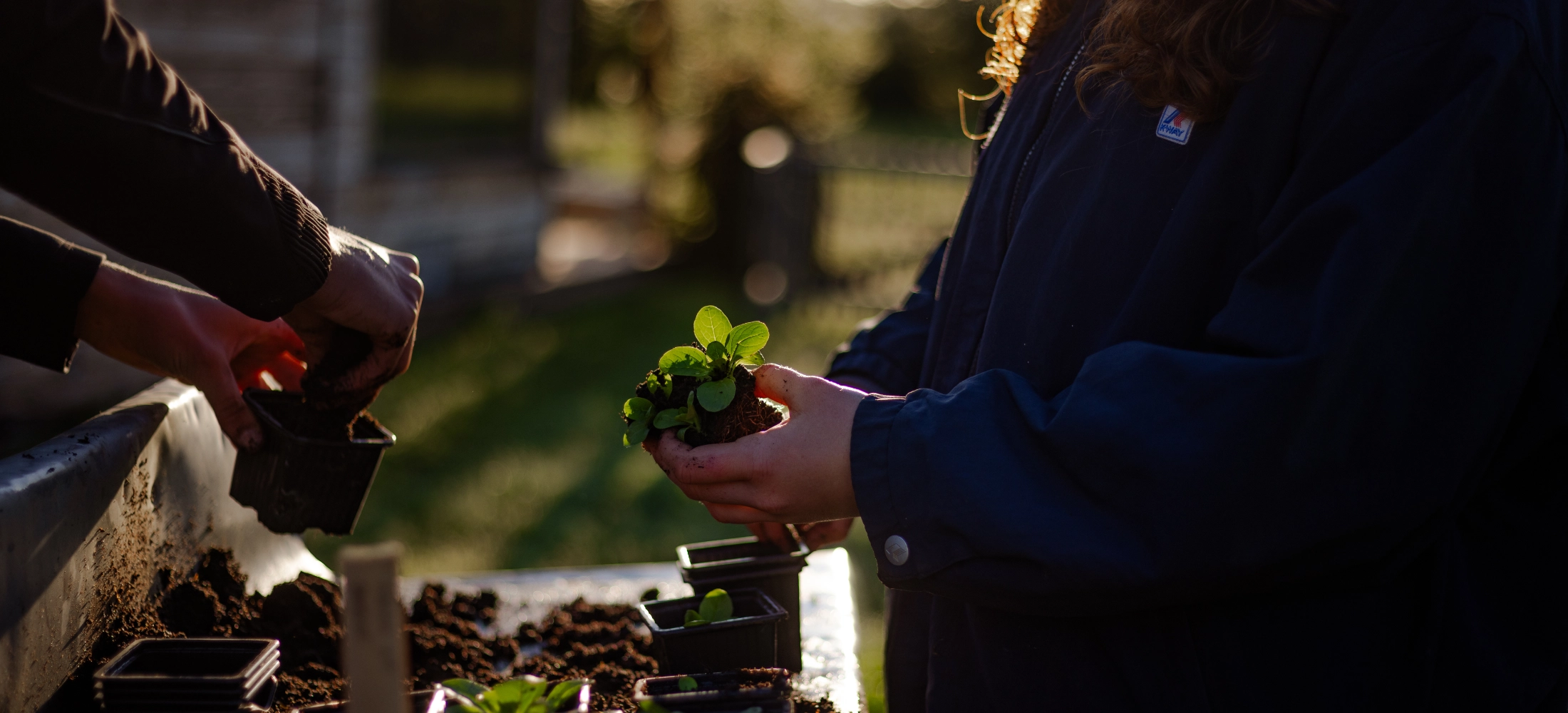 Atelier semis au potager du mas Alavall avec les bénévoles et écovolontaires.