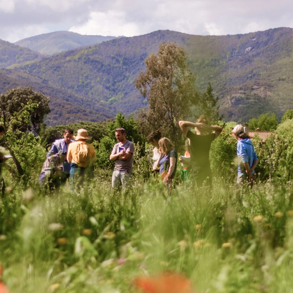 Groupe de participants à une formation Permaterra à Céret.