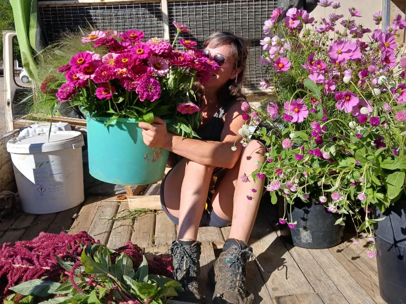 Fleurs fraîches pour faire des compositions comme des bouquets.
