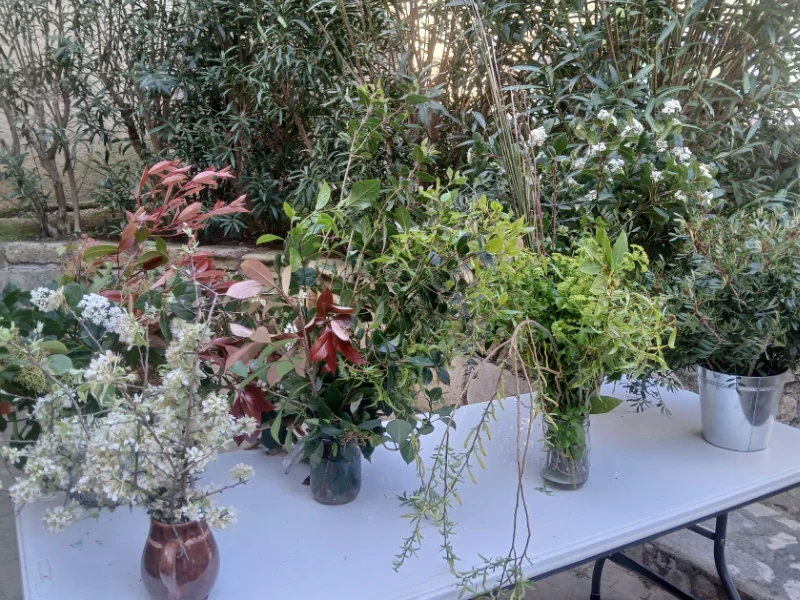 Compositions de fleurs et plantes pour la vente à la ferme florale.