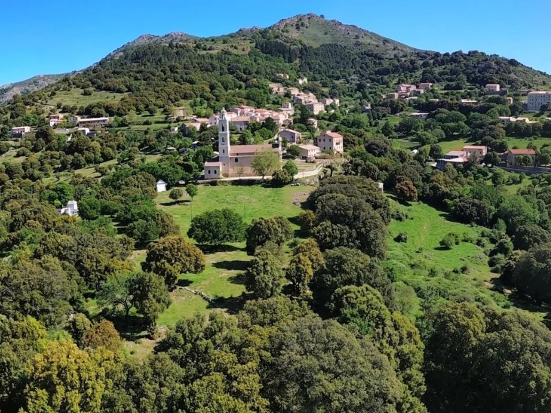 Panorama de Olmi Capella vallée en Corse étude des trognes.