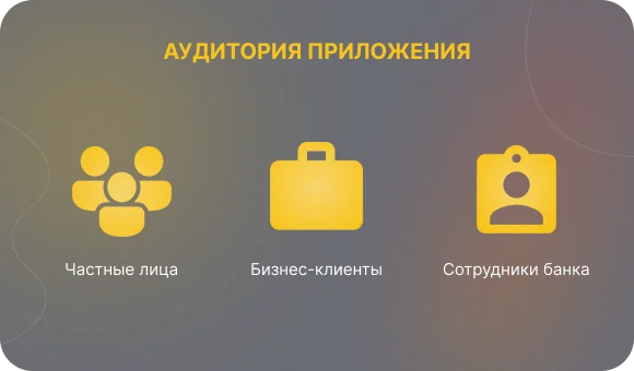 Audience of the application