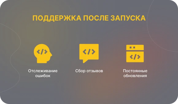Application support after launch