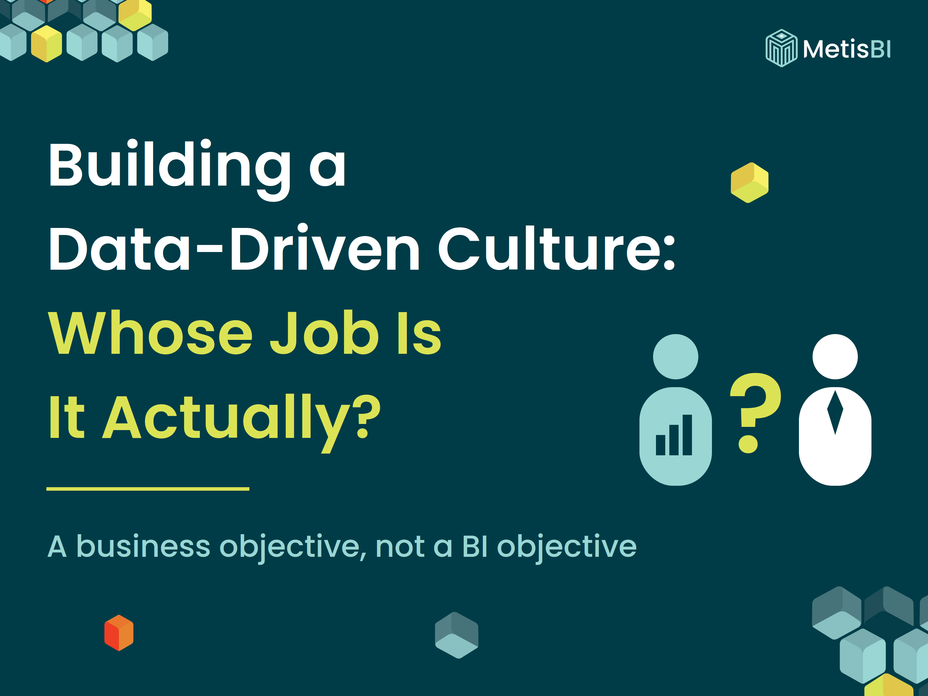 Metis BI blog thumbnail, Building a Data-Driven Culture, Whose Job Is It Actually
