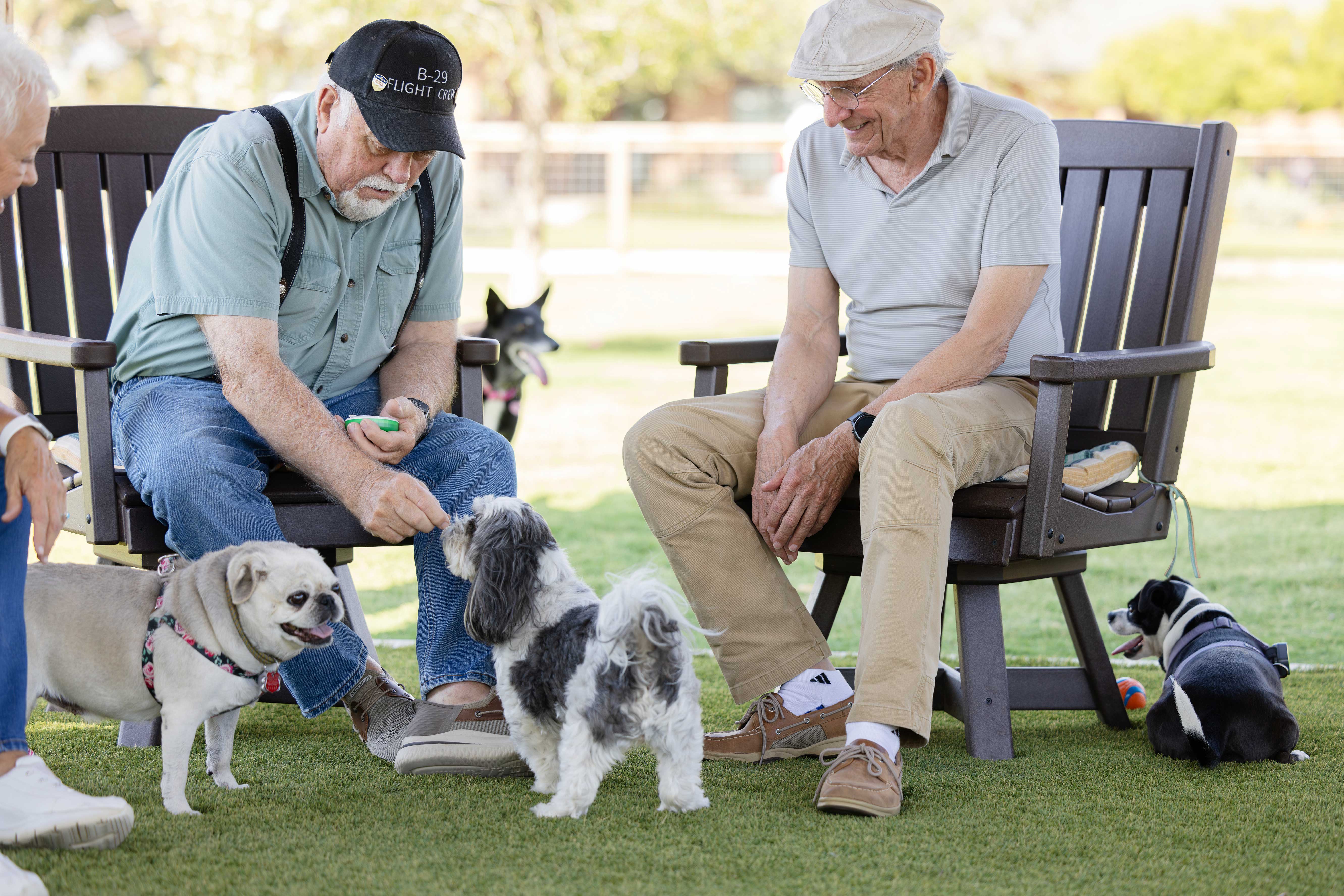 Pet-Friendly Senior Living in Midland