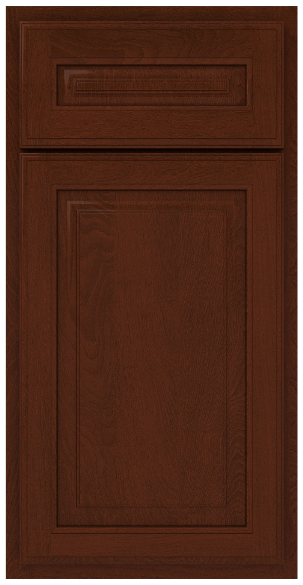 Dark brown wooden cabinet door with raised rectangular panel design.