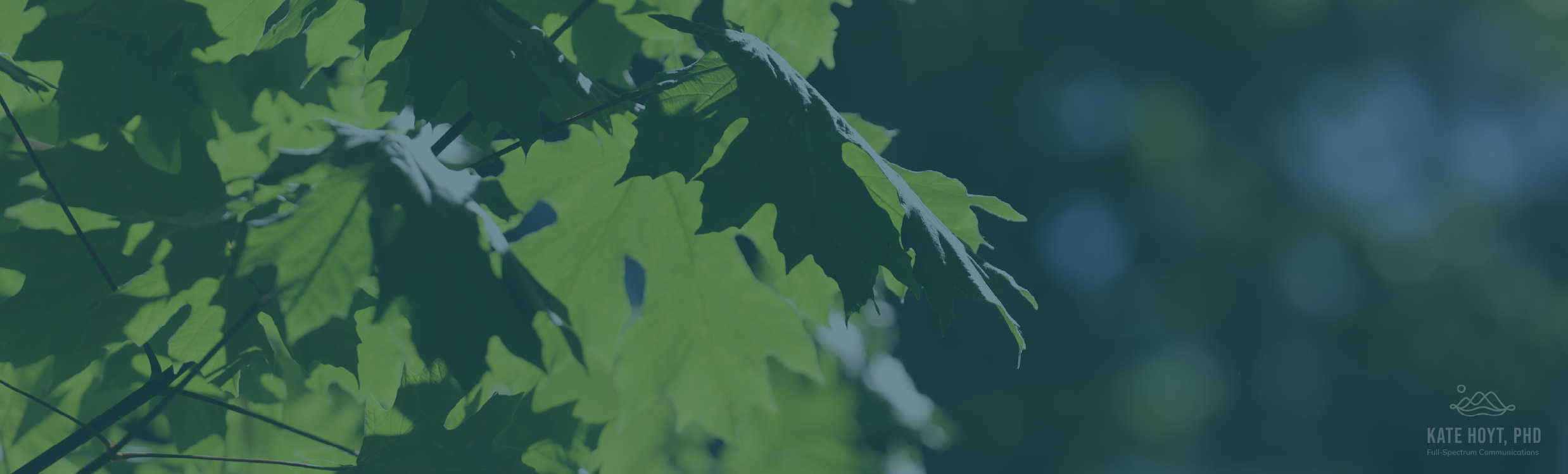 Tree roots on a forest floor in Juneau with a totem from the Tlingit Tribe in the background.