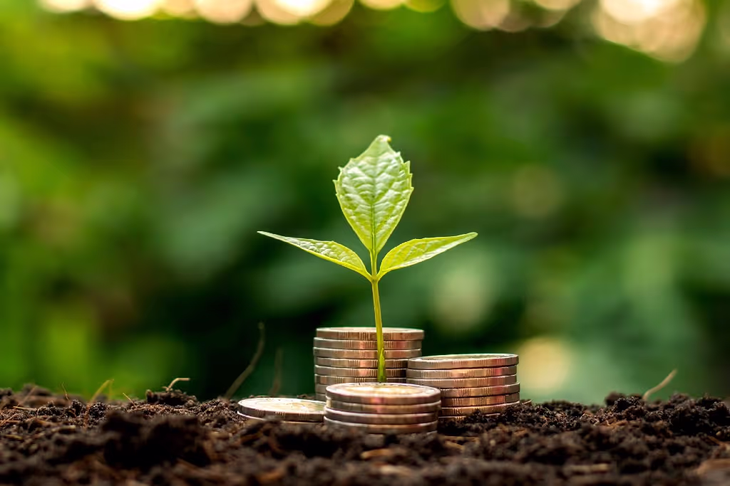 The Importance of Pre-Seed in a World of Excess