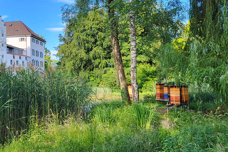 Bunte Bienenstöcke stehen im Grünen neben einem Teich, ein Schloss ist links im Hintergrund sichtbar.