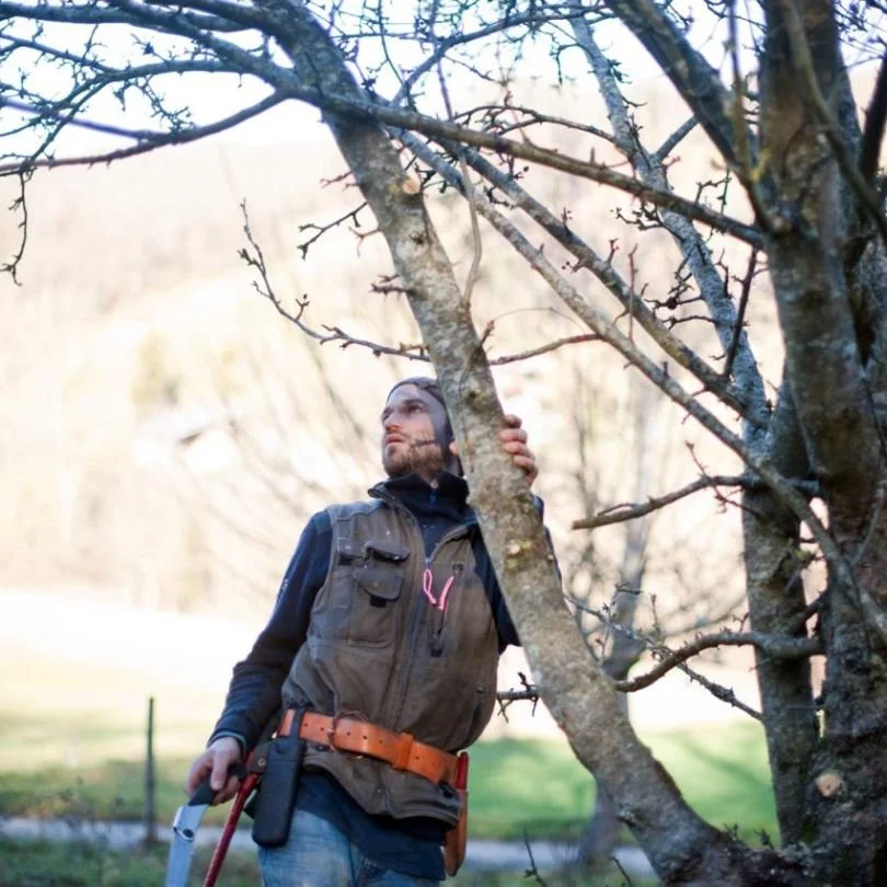 Photo de Jérémy Barrault, formateur en taille des arbres libres.