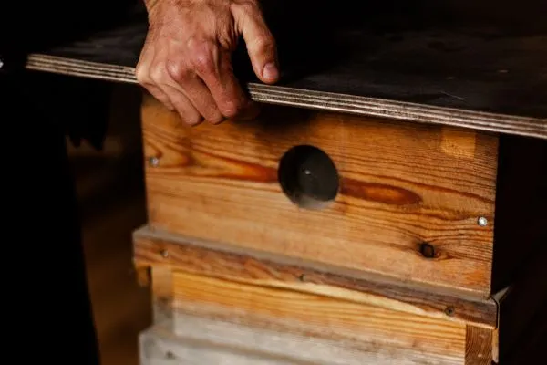 Photo d'une ruche écologique à Permaterra.