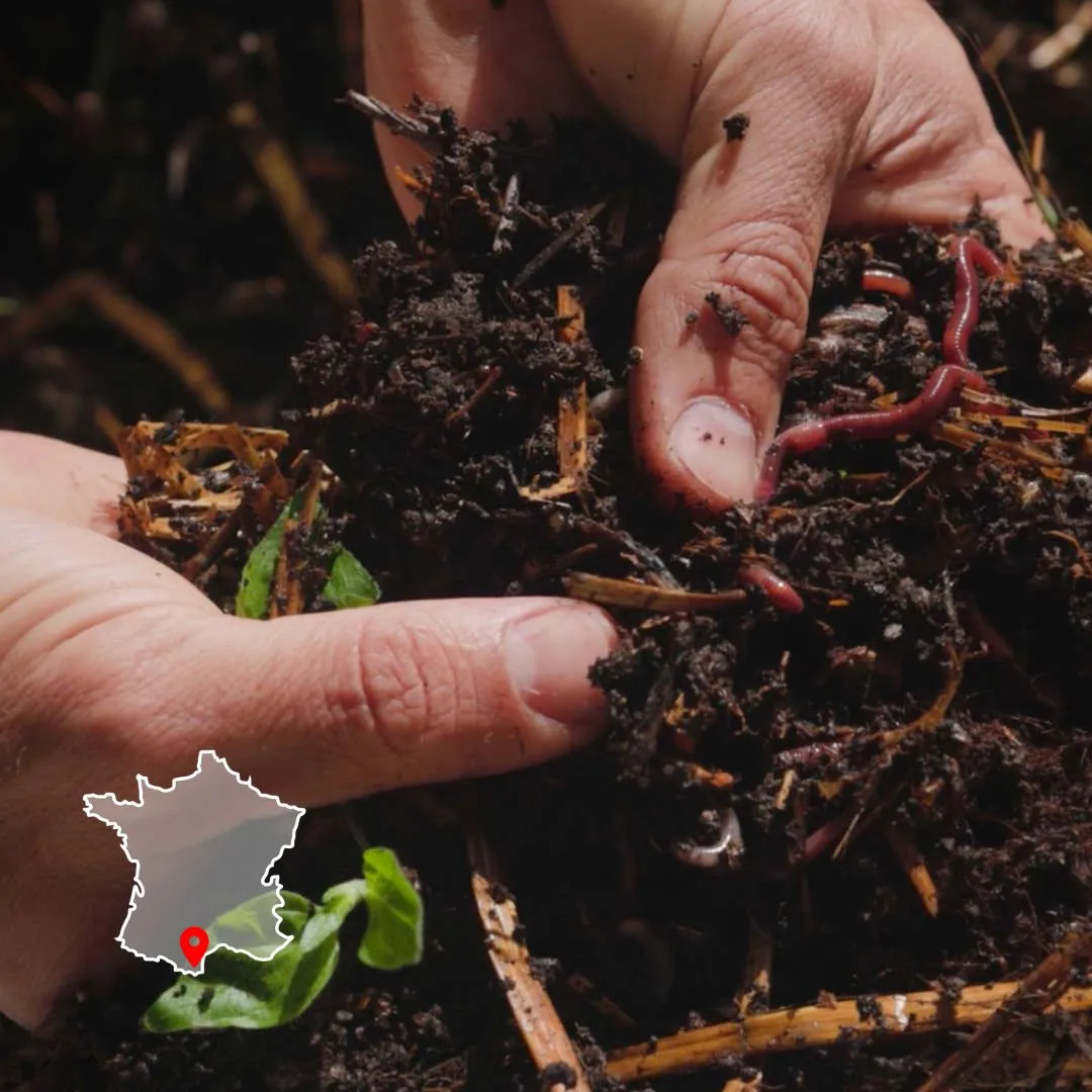 Photo de mains dans le compost pour illustrer la formation l'art du compostage.