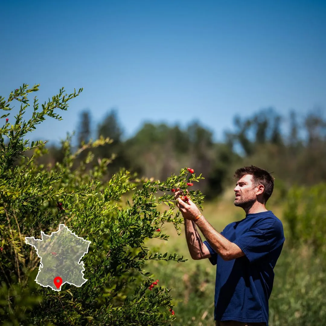 Une photo de Frédéric Bey dans sa ferme arboricole agroécologique le domaine de la mer blanche à Argelès sur mer.