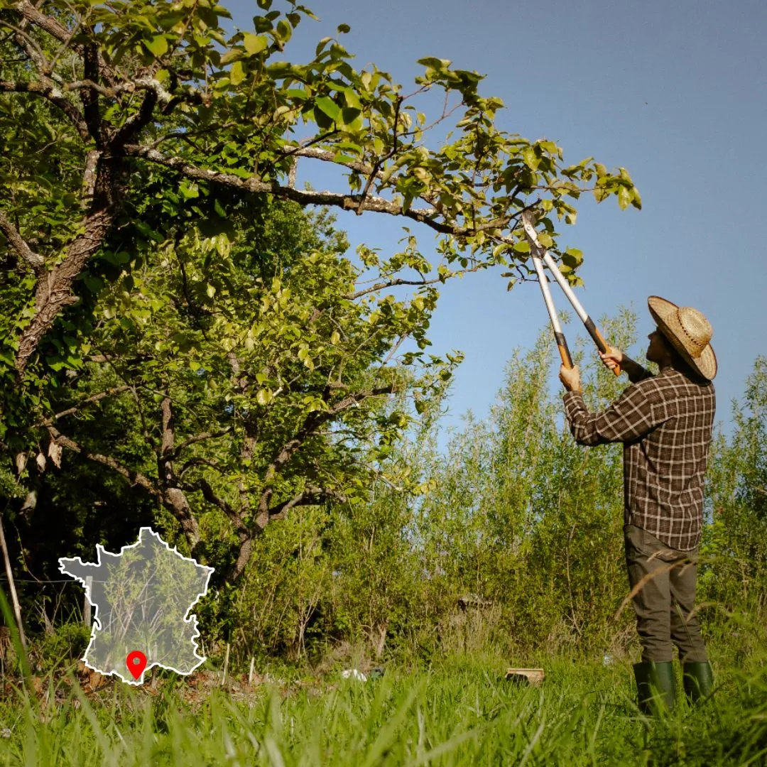 Jérémy Barrault, formateur chez Permaterra, anime la formation taille des arbres libres. Photo de Myriam Boye.