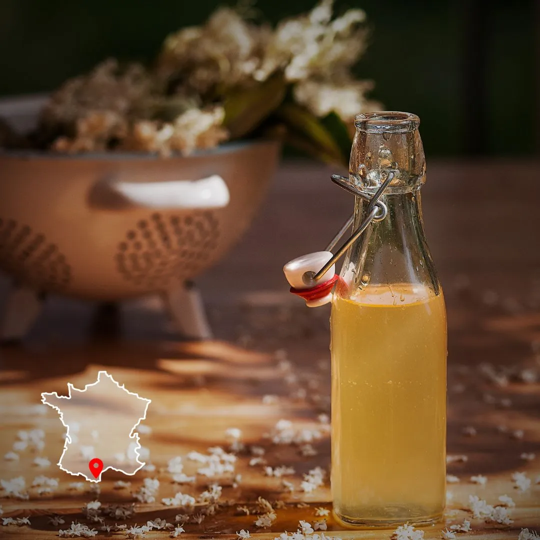 Photo d'un sirop fait à partir de plantes durant la formation transformation des plantes en sirops et gelées à Permaterra.