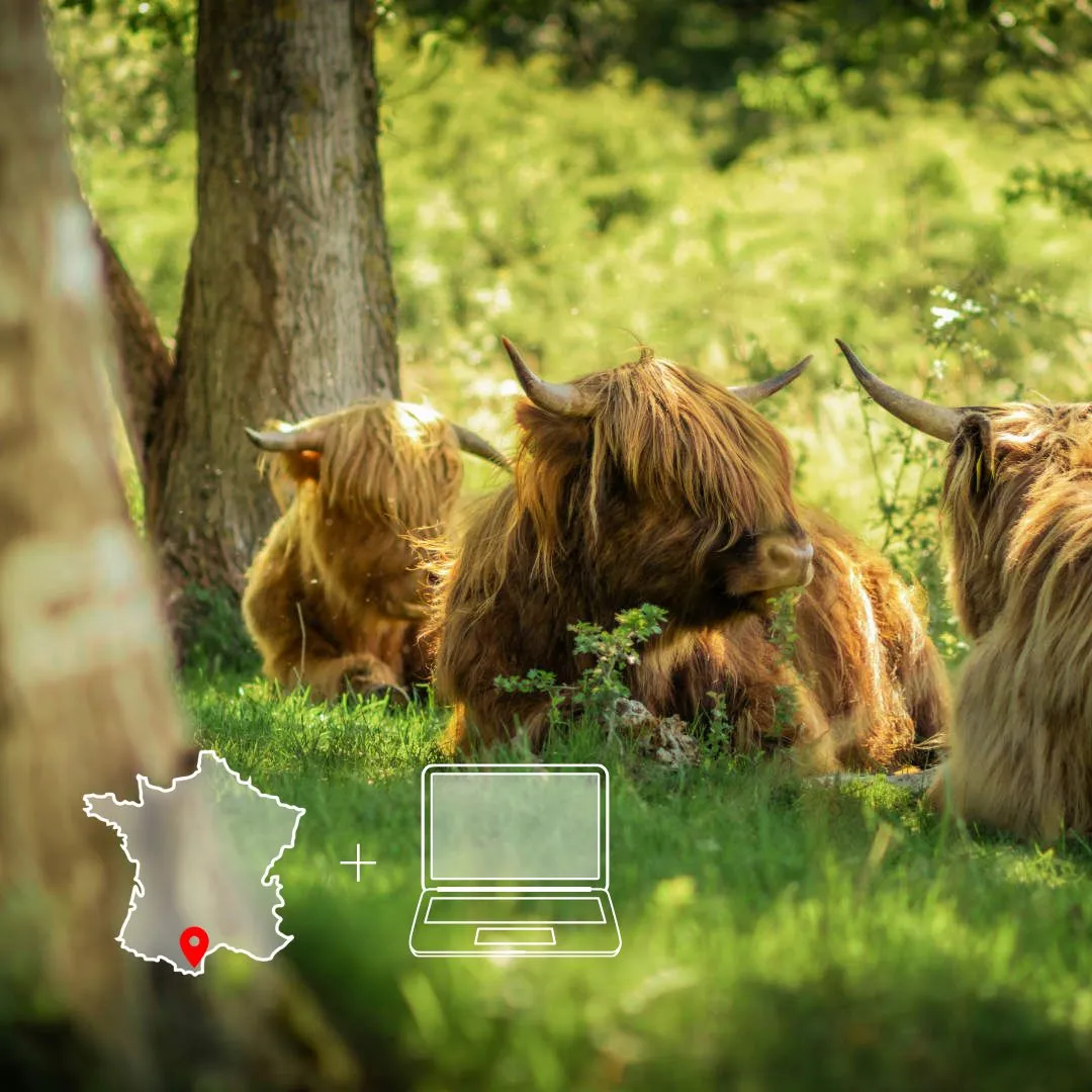 Image mettant en avant la formation pâturage tournant dynamique et agroforesterie à Permaterra formation.